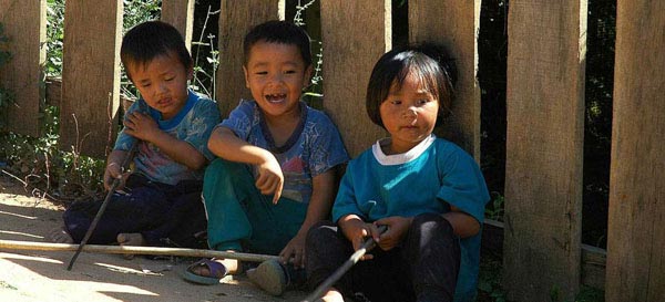 网站攻击软件工具